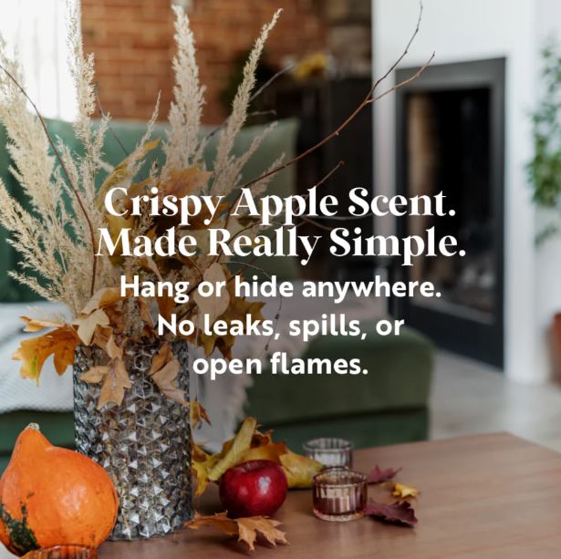 SCENTSICLES - Pumpkin ‘n Cider