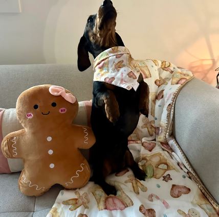 Gingerbread Dreams - Baby Bib/Bandana/Pet Bandana