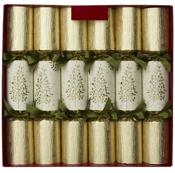 Bon Bons (Box of 6) <br> 14" Olive Tree