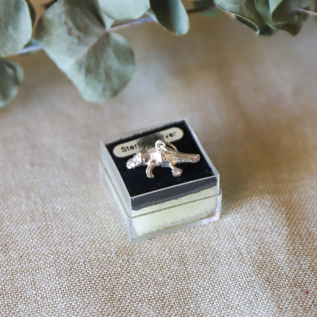 Sterling Silver Charm <br> Platypus